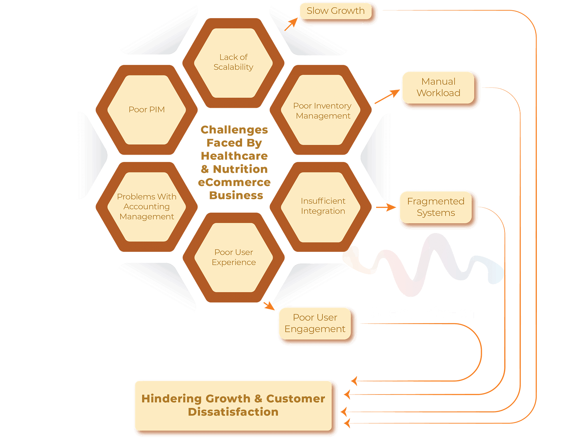 The Problem Faced By Healthcare and Nutrition eCommerce Business